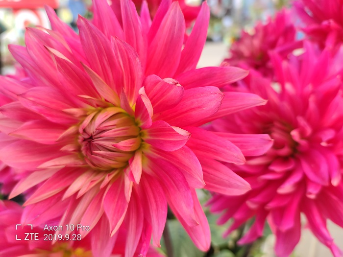 ZTE Axon 10 Pro- 48 MP (8)