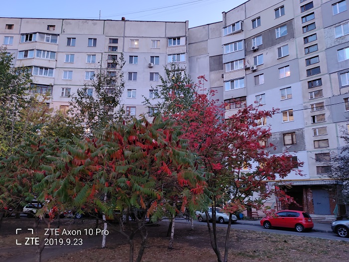 ZTE Axon 10 Pro- ночь (2)