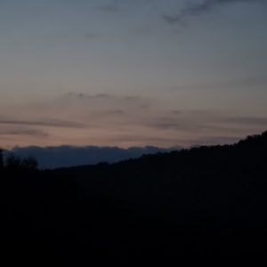 Loading image...