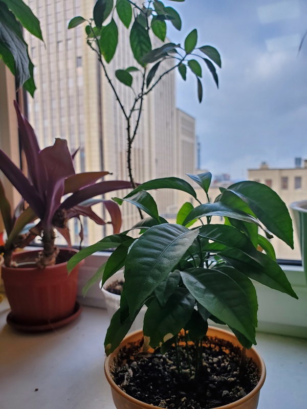 Photo Galaxy Fold (6)