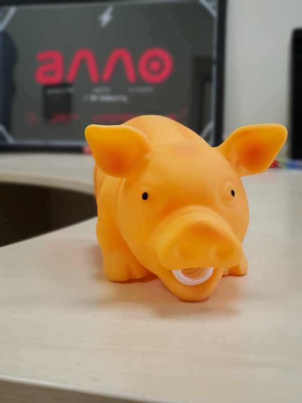 Photo Galaxy Fold (7)