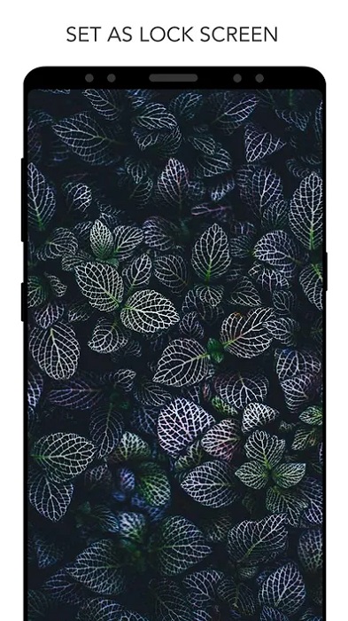 3D Parallax Live Wallpaper-2