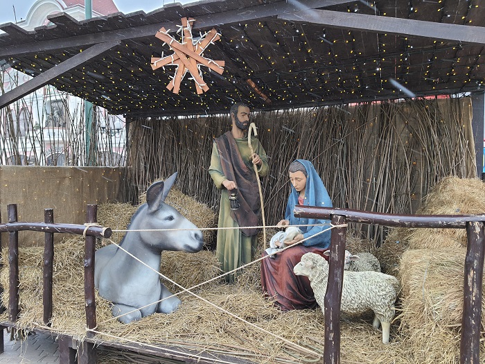 Note 10 Lite- photo (14)