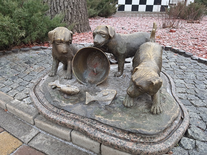 Note 10 Lite- photo (17)