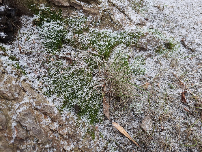 Note 10 Lite- photo (20)