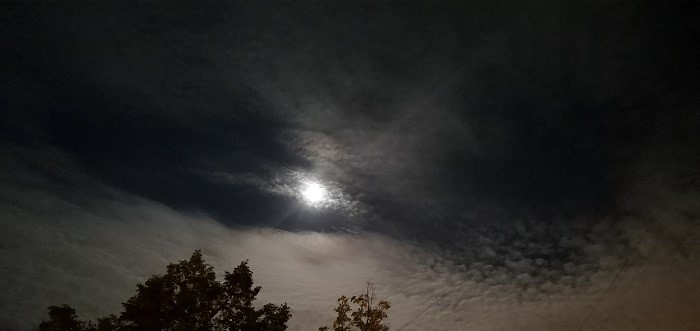 Note 10 lite- ночь (6)