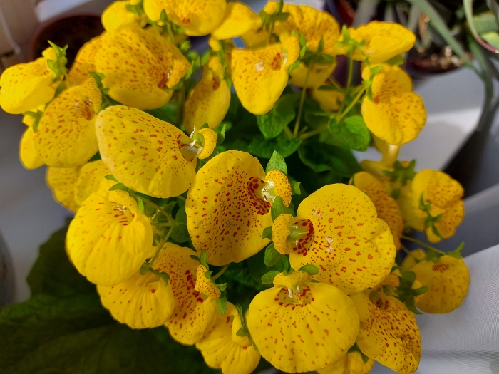 Обзор Samsung Galaxy A71 – Фото12