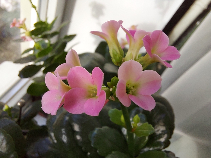 Обзор Samsung Galaxy A71 – Фото14