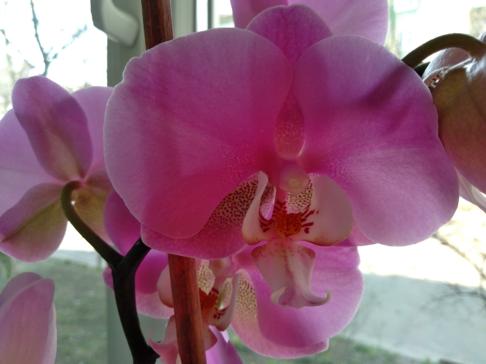 Обзор Samsung Galaxy A01 – Фото5