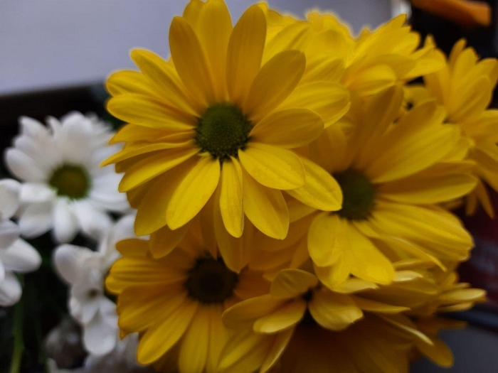 Обзор Samsung Galaxy M31 – 4