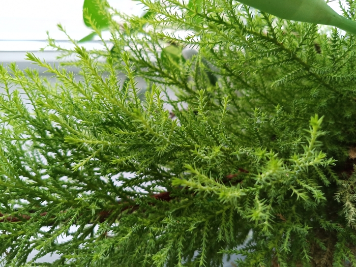 Обзор ZTE Blade 20 Smart – Фото6