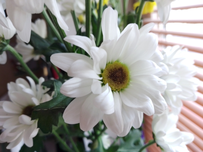 Обзор ZTE Blade A5 2020 – Фото1