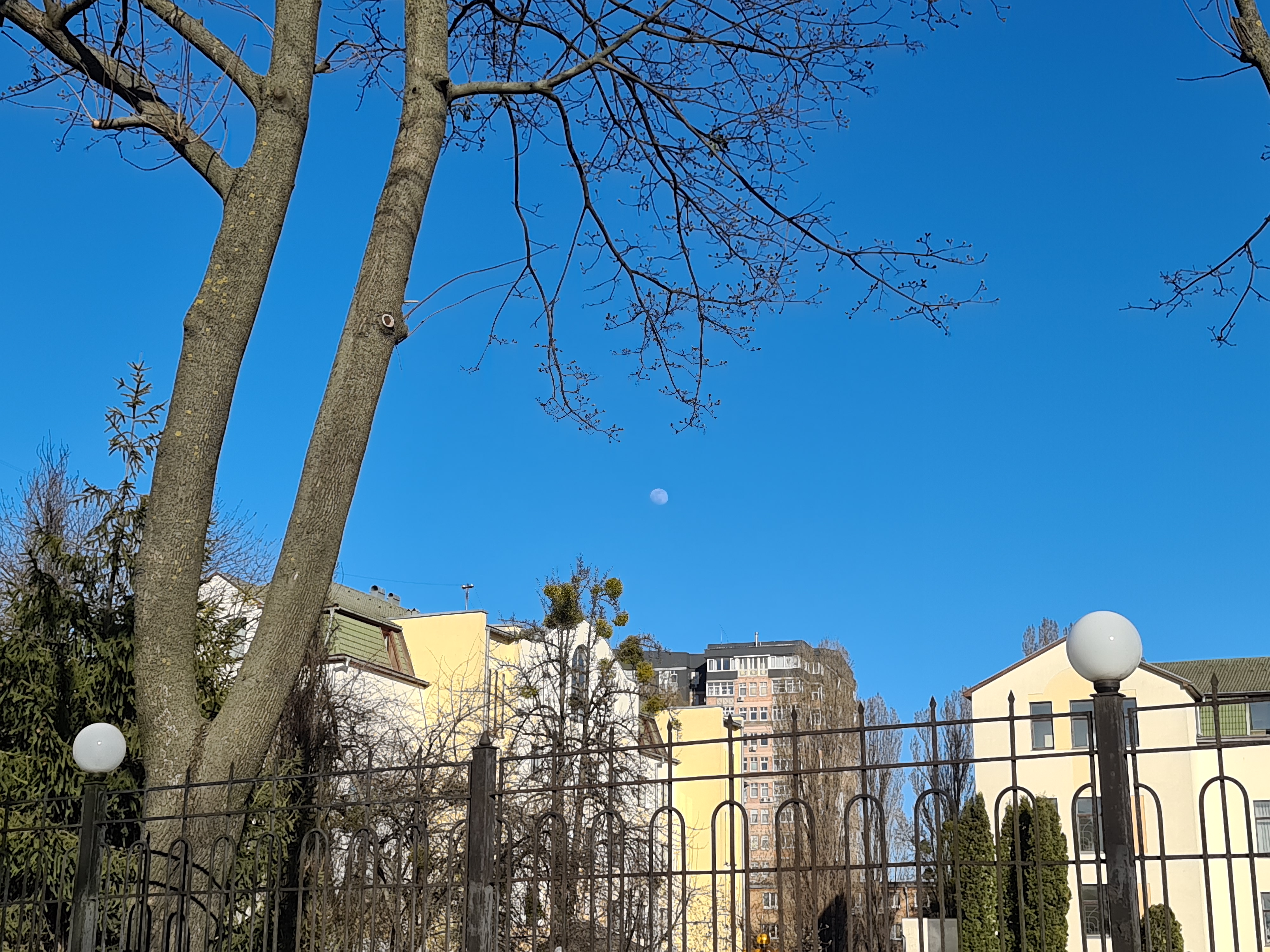 GalaxyS20_Ultra_moon_03