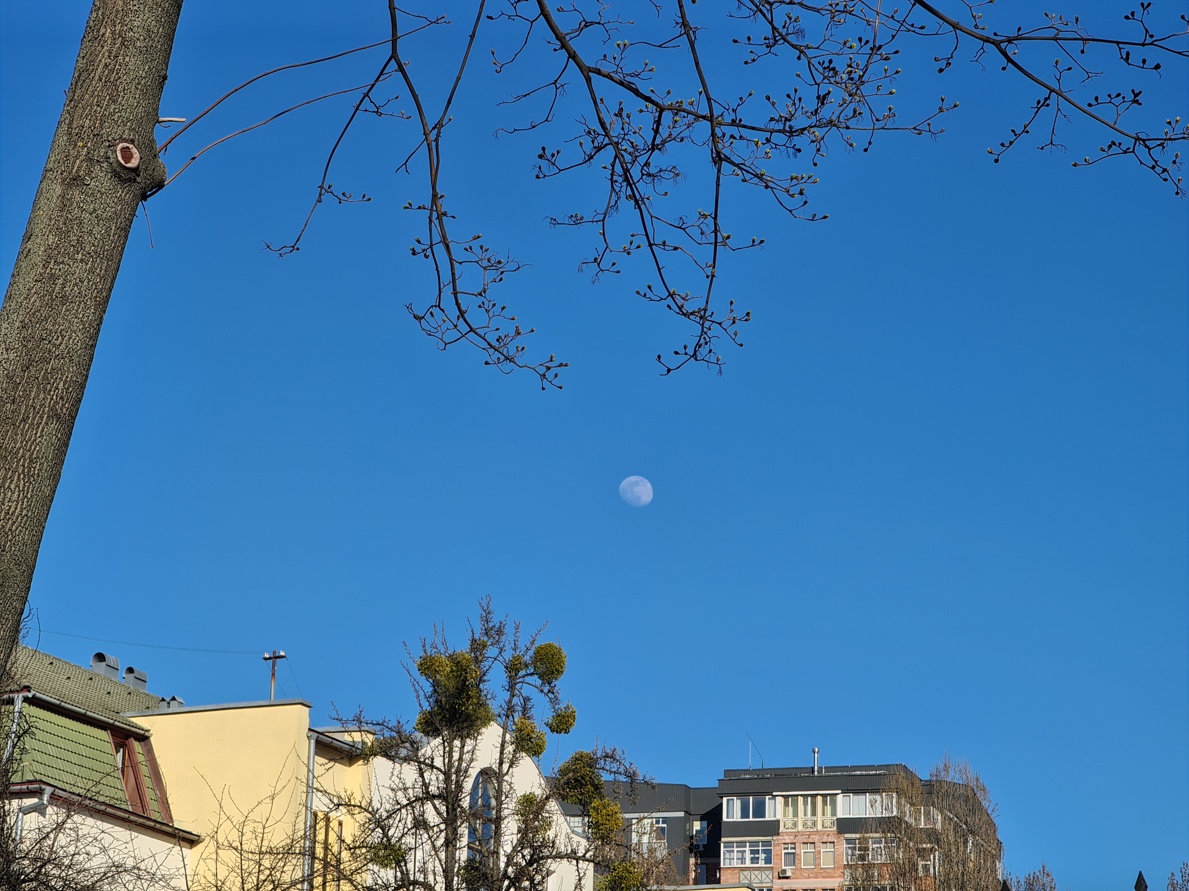 GalaxyS20_Ultra_moon_04