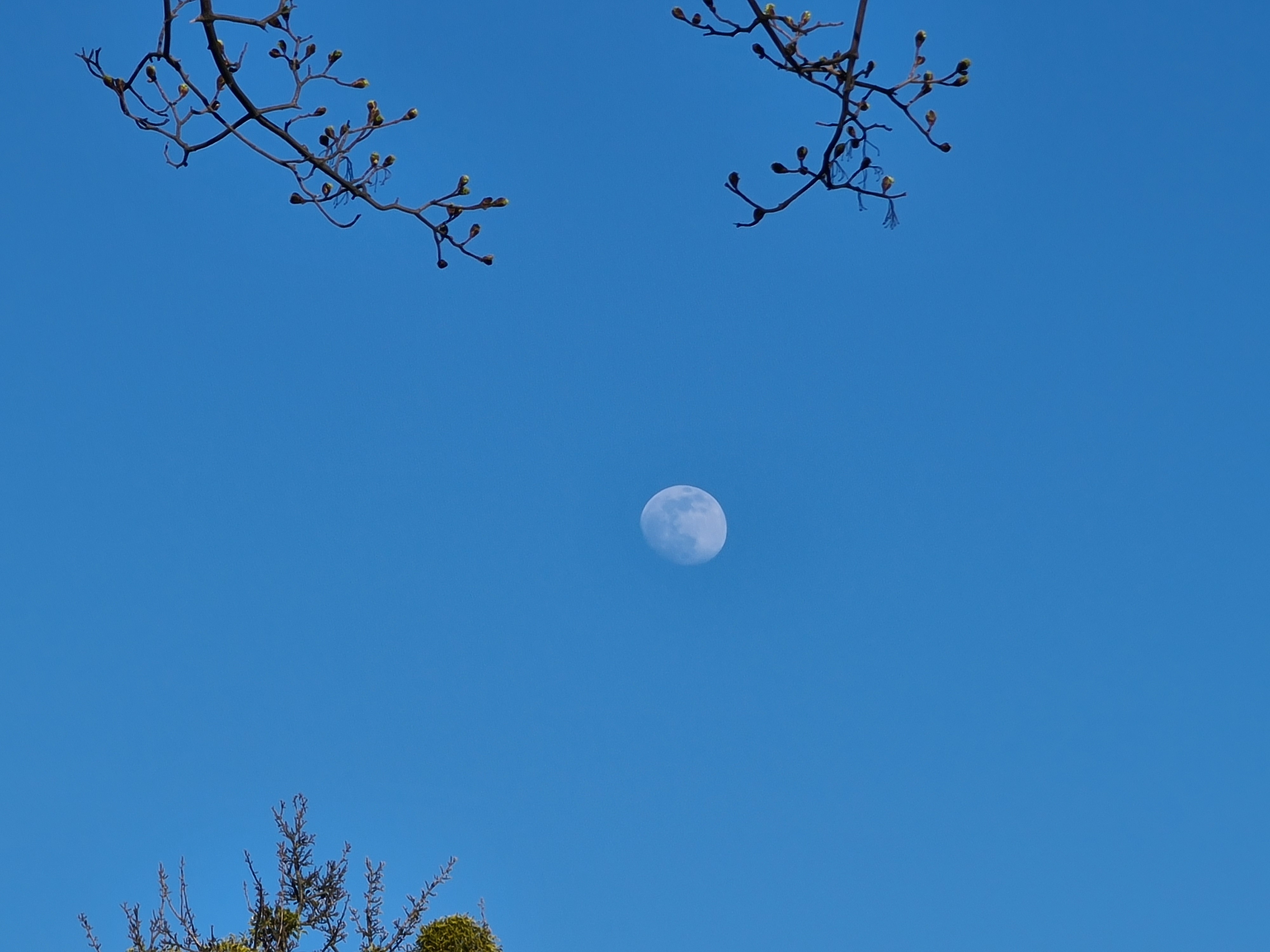 GalaxyS20_Ultra_moon_05