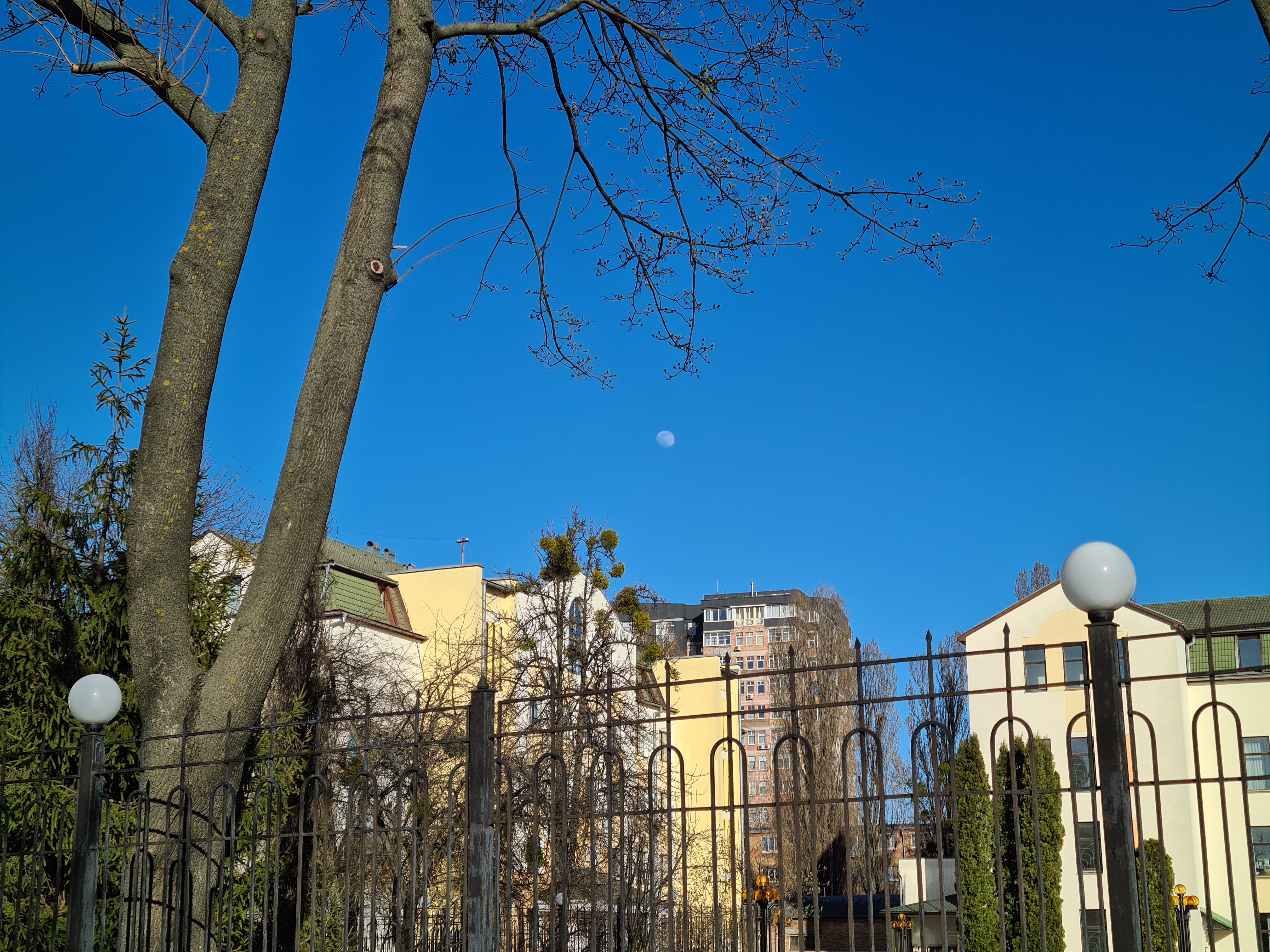 GalaxyS20_plus_moon_03