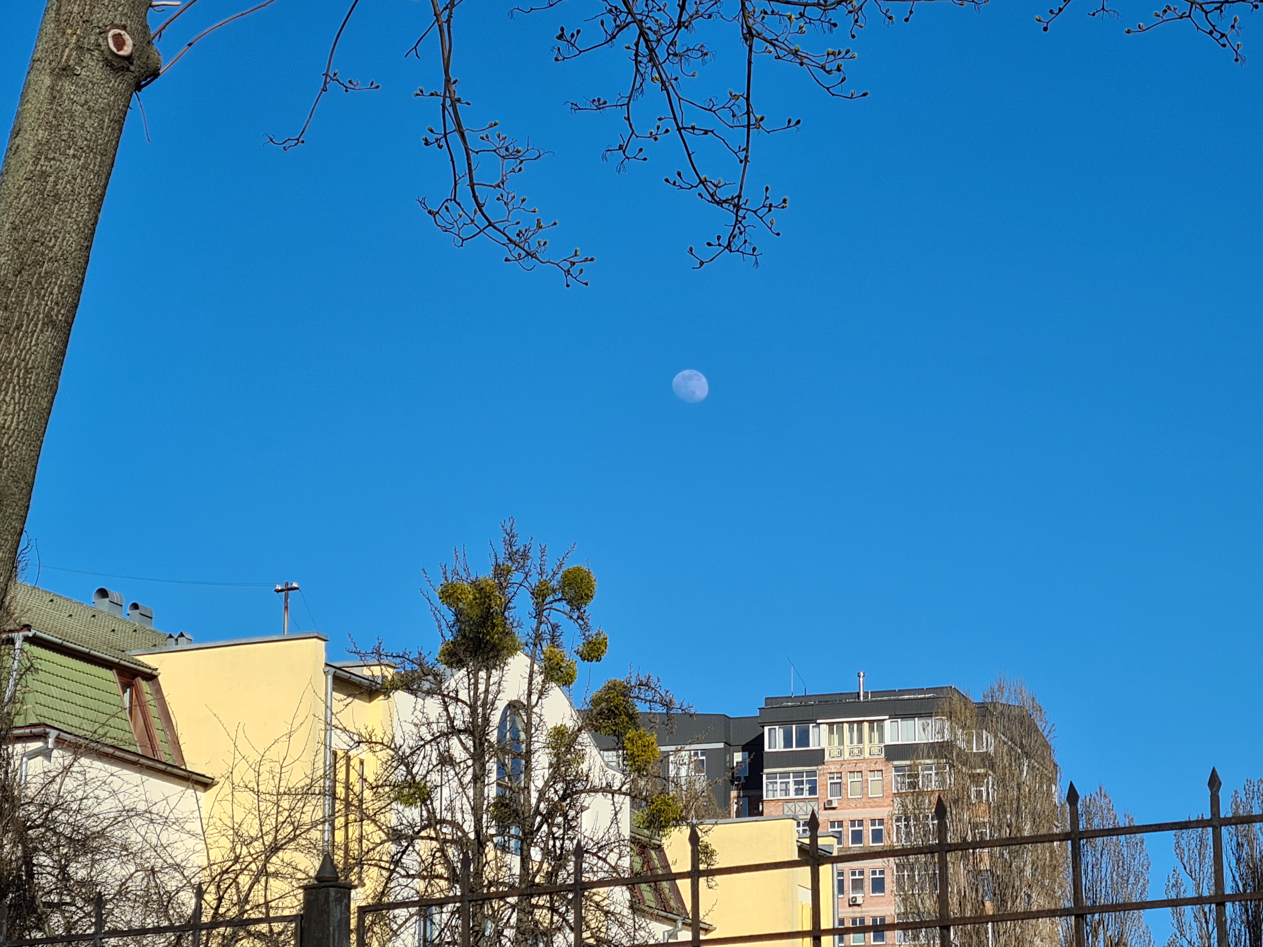 GalaxyS20_plus_moon_04