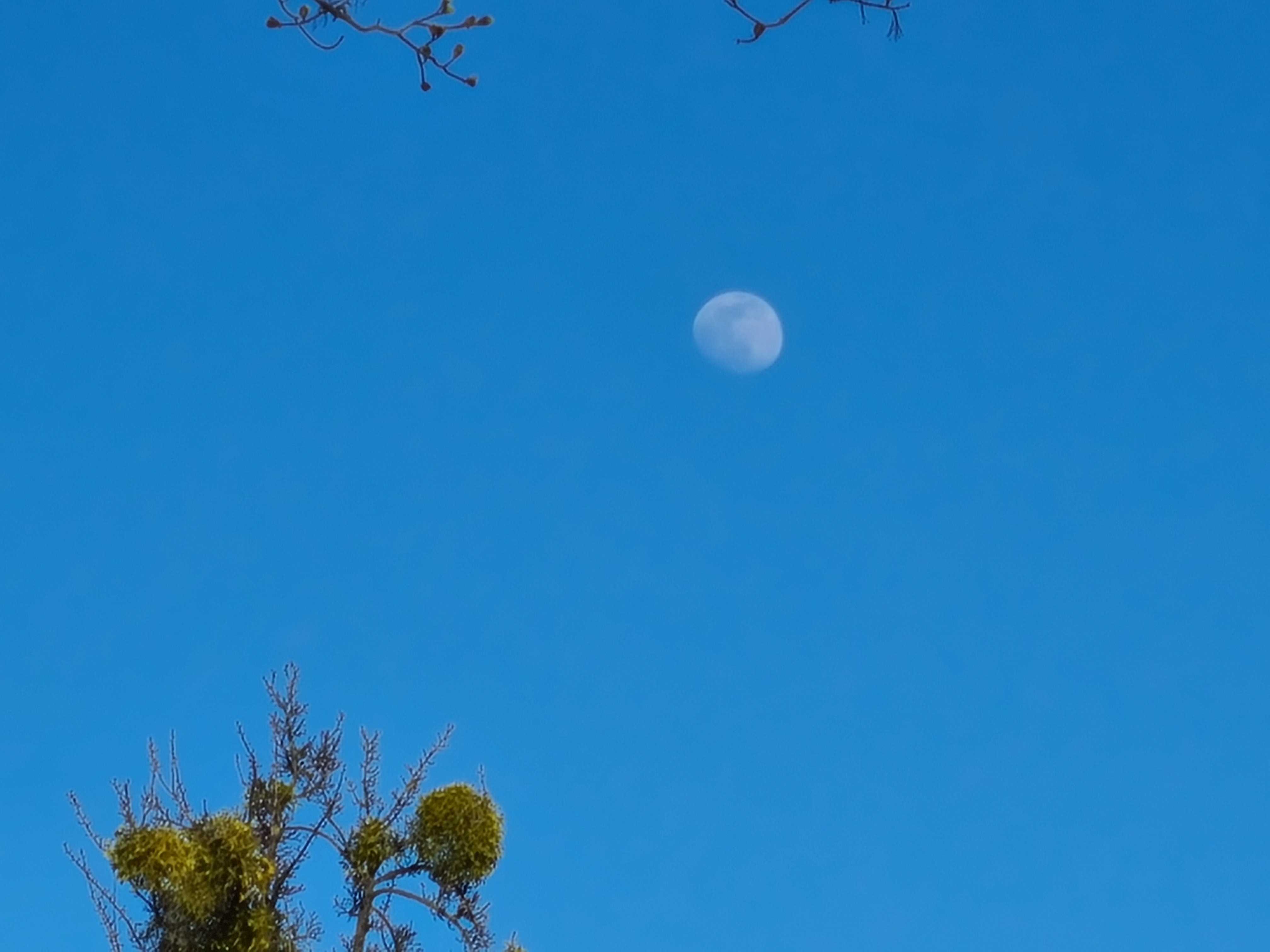 GalaxyS20_plus_moon_05