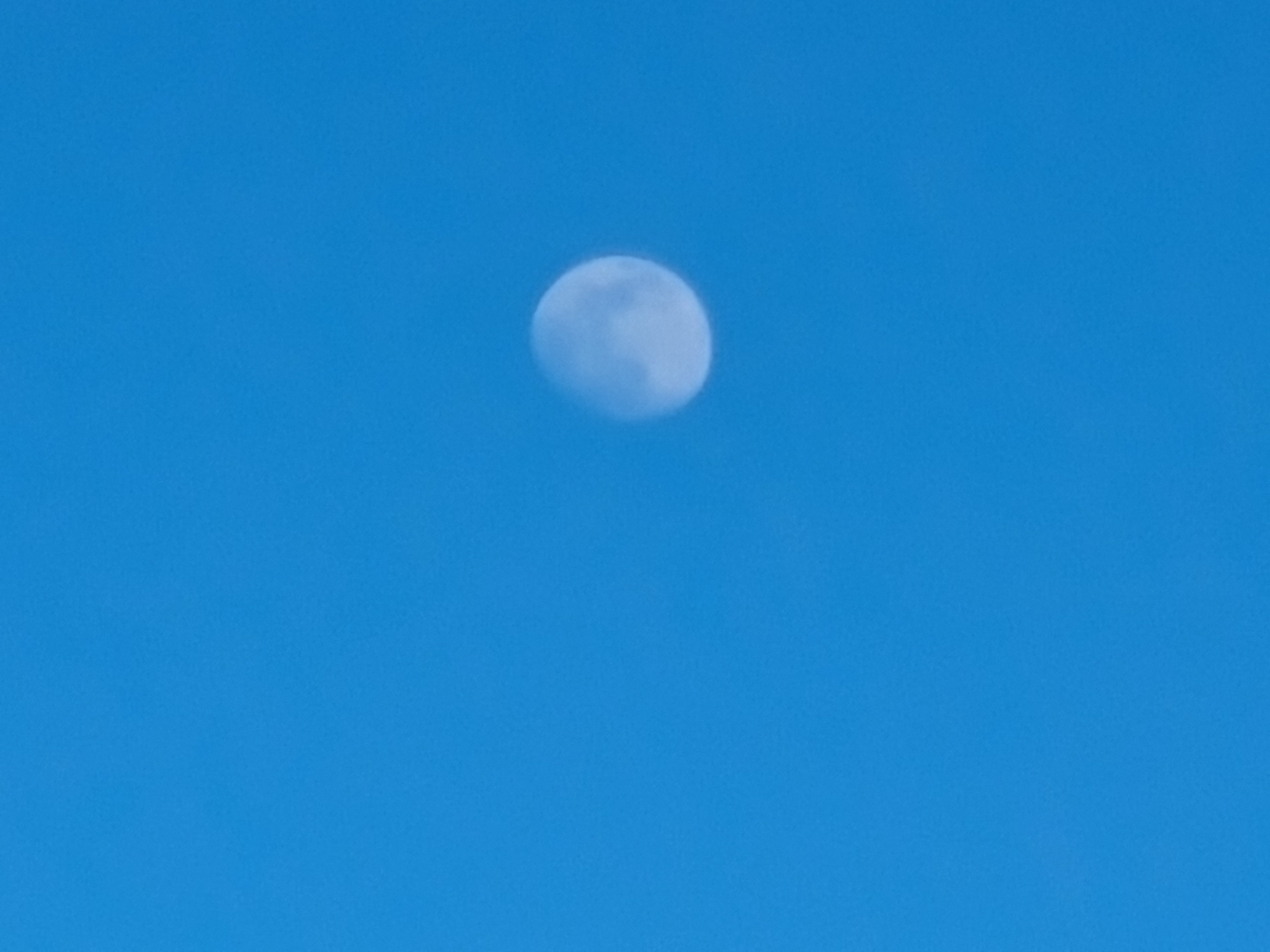 GalaxyS20_plus_moon_06