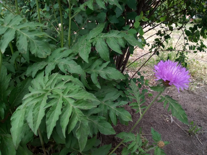 Обзор Samsung Galaxy M11 – Фото1