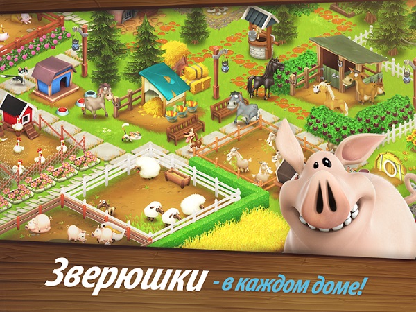 Hay Day-4
