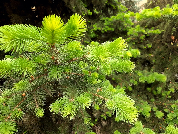 Обзор Samsung Galaxy M21 – Фото22