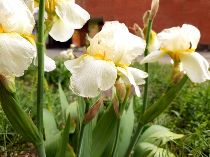 Обзор Samsung Galaxy M21 – Фото23