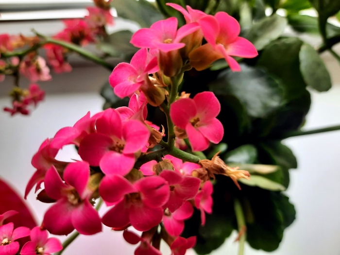 Обзор Samsung Galaxy M21 – Фото26