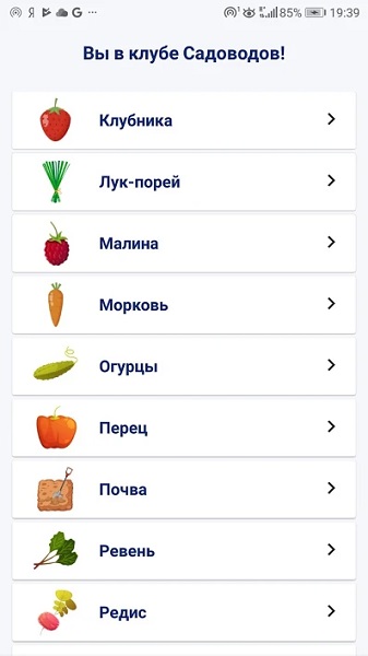 Сад и огород-2