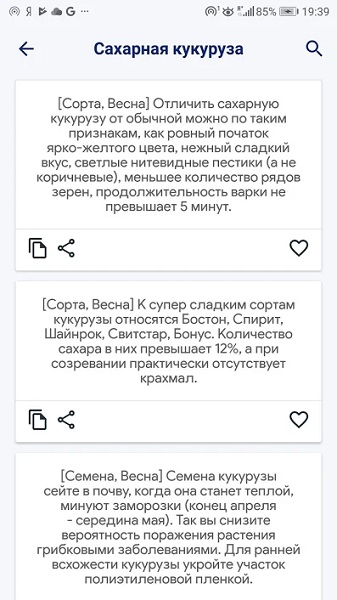 Сад и огород-4