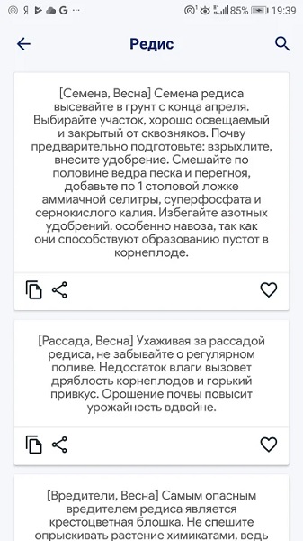 Сад и огород-5