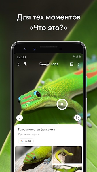Google Объектив-7