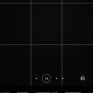 Loading image...