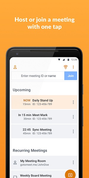 GoToMeeting -3