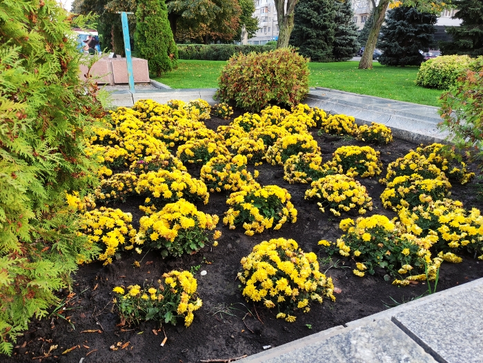 Обзор Poco X3 – Основной11