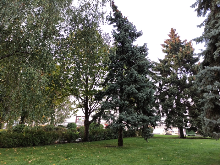 Обзор Poco X3 – Основной9