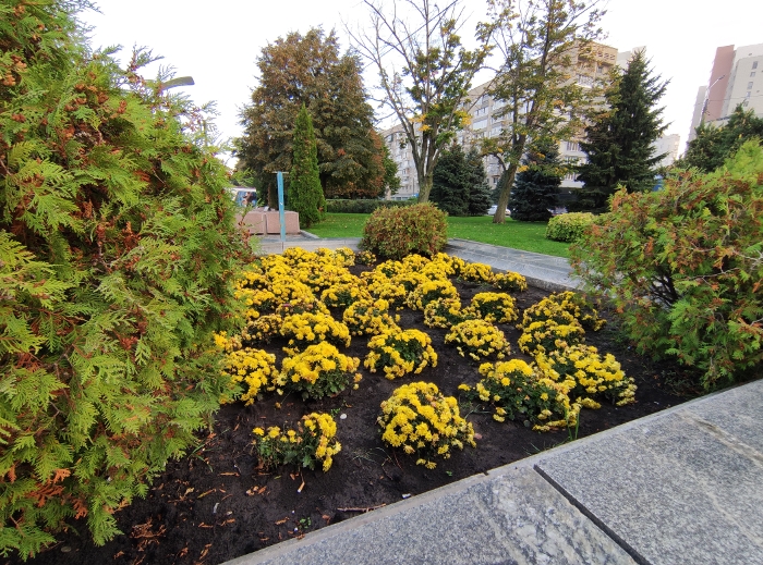 Обзор Poco X3 – Ширик7