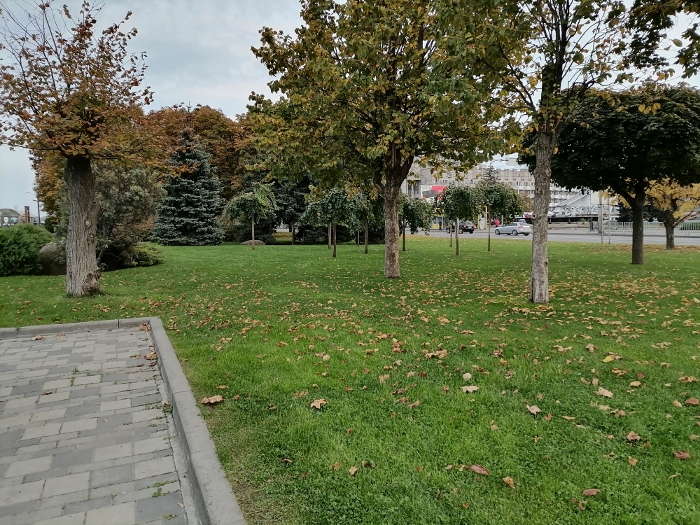 Обзор Huawei P Smart 2021 – Основной6