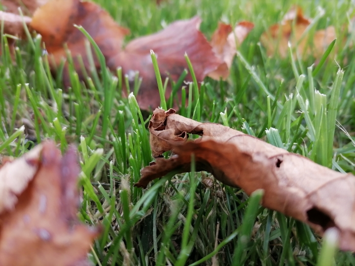 Обзор Huawei P Smart 2021 – Основной9