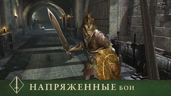 The Elder Scrolls Blades-5