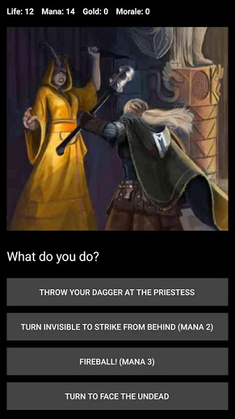 D&D Style Medieval Fantasy-7