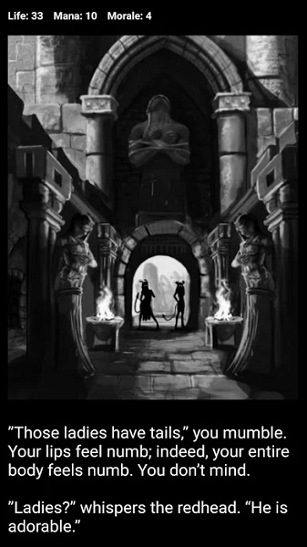 D&D Style Medieval Fantasy-8
