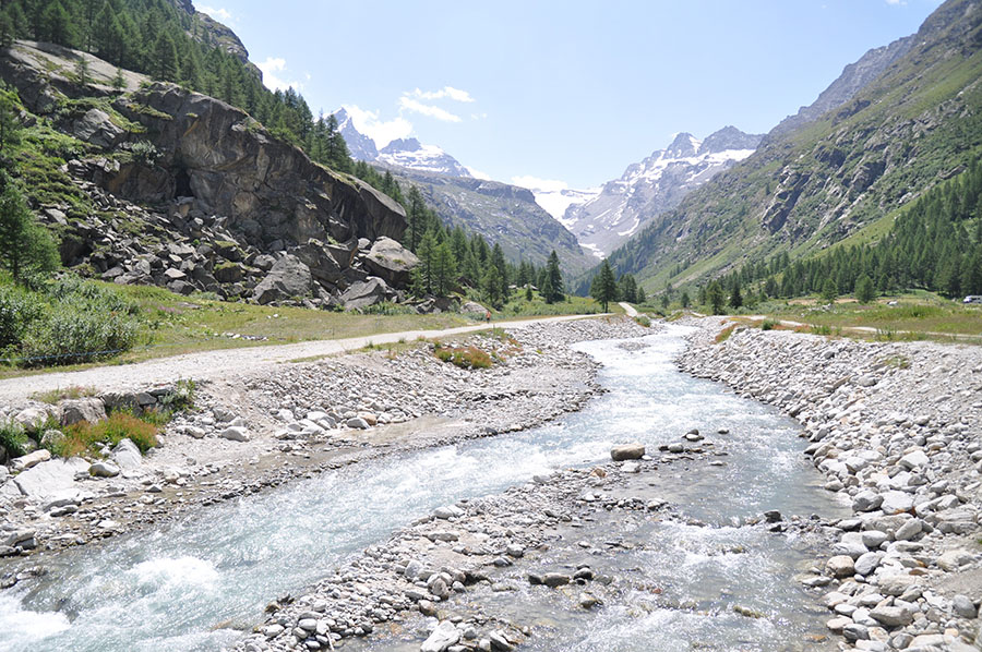 Что брать с собой в поход, камеру или смартфон - Nikon D90 пример фото 1