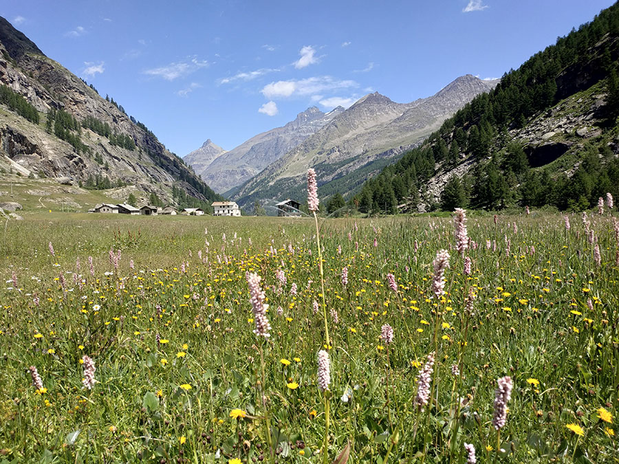 Что брать с собой в поход, камеру или смартфон - Xiaomi Redmi Note 5 пример фото 2