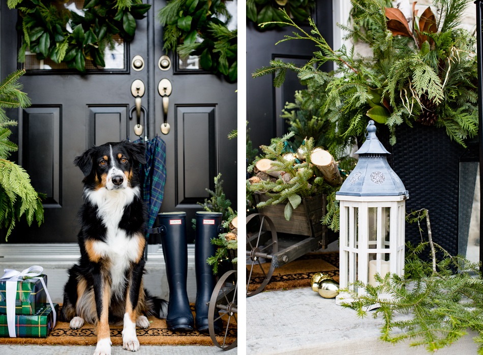 Craftberry Bush-праздничный декор 1