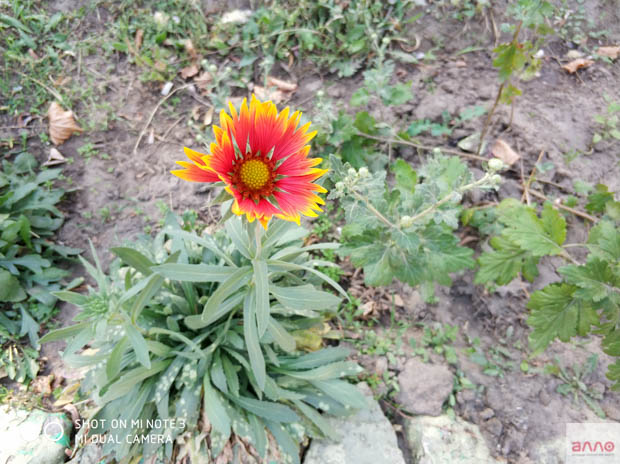 Фото сделанное днем 1