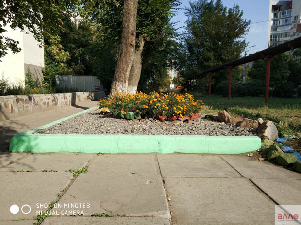 Фото сделанное днем 2