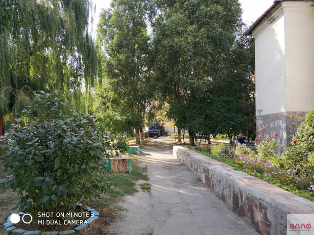 Фото сделанное днем 3