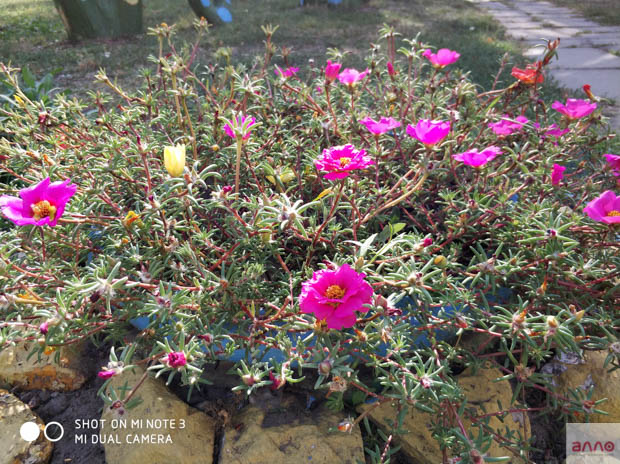 Фото сделанное днем