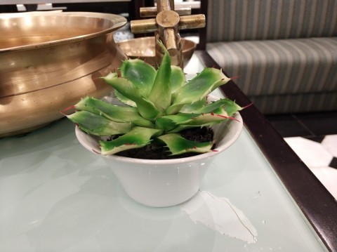 Фотографии в помещении